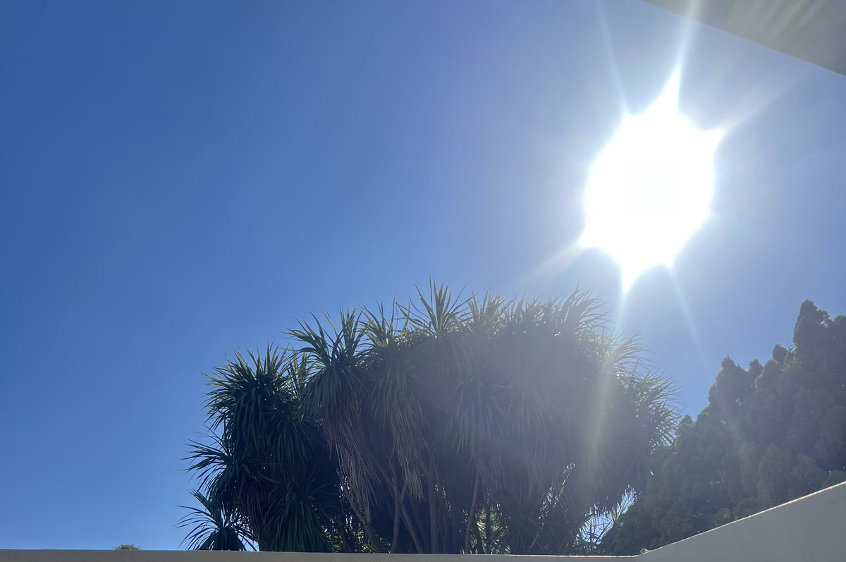 Shanthini Naidoo tweet media