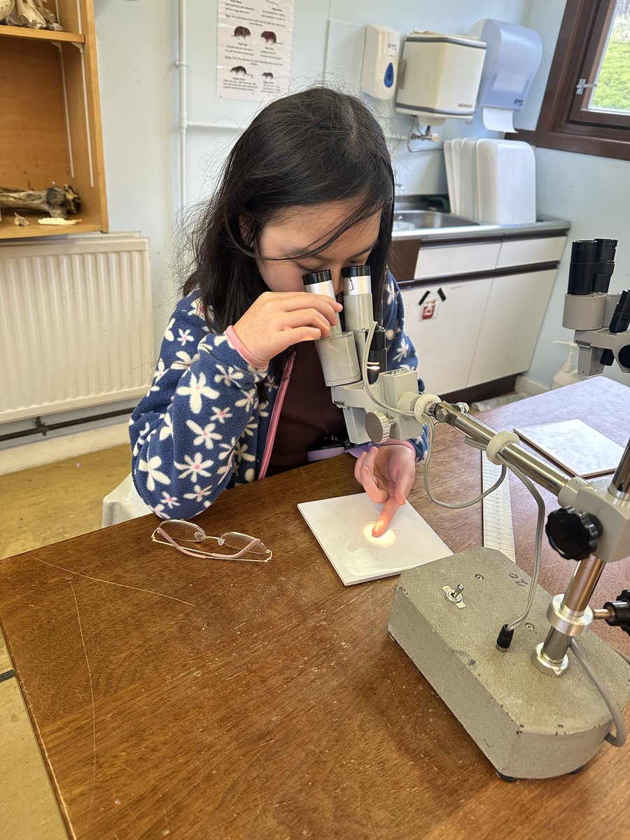 St Paul's Primary School tweet media
