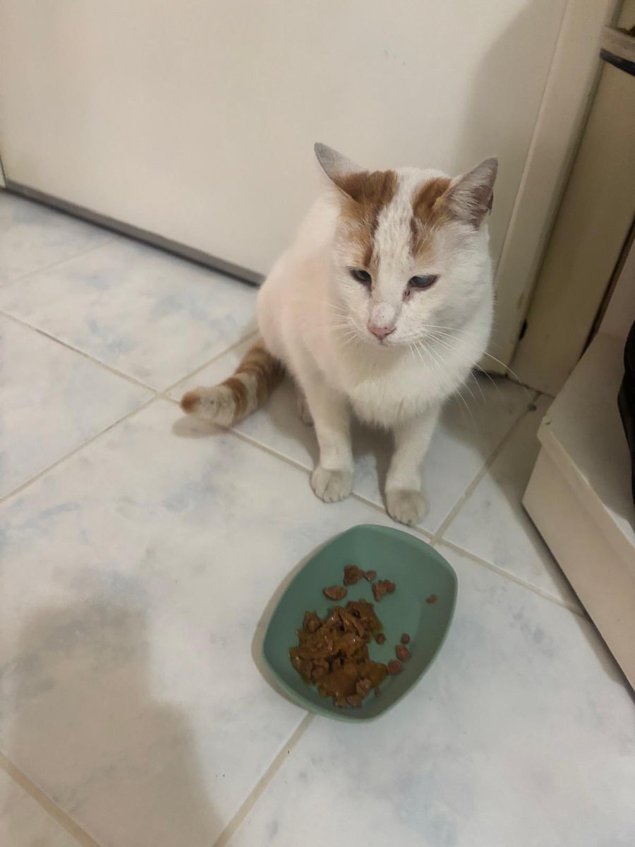 HayvanİlanPaylaşımları tweet media