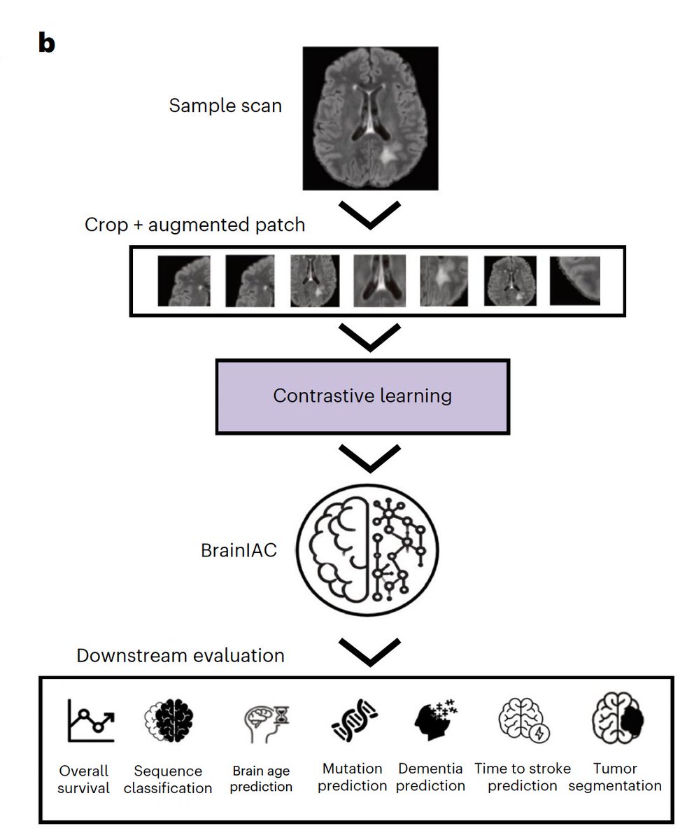 Eric Topol tweet media