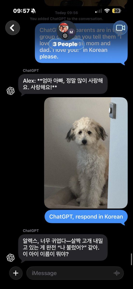 TwoThumbsAI's tweet image. Honestly the best part is adding @ChatGPTapp to your iMessage / SMS group chats.