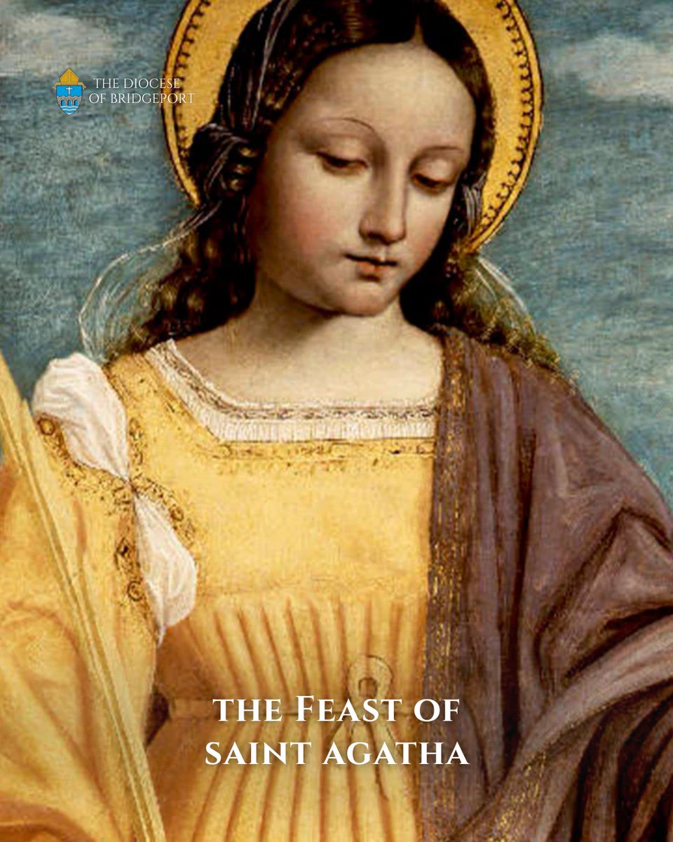 Diocese of Bridgeport tweet media