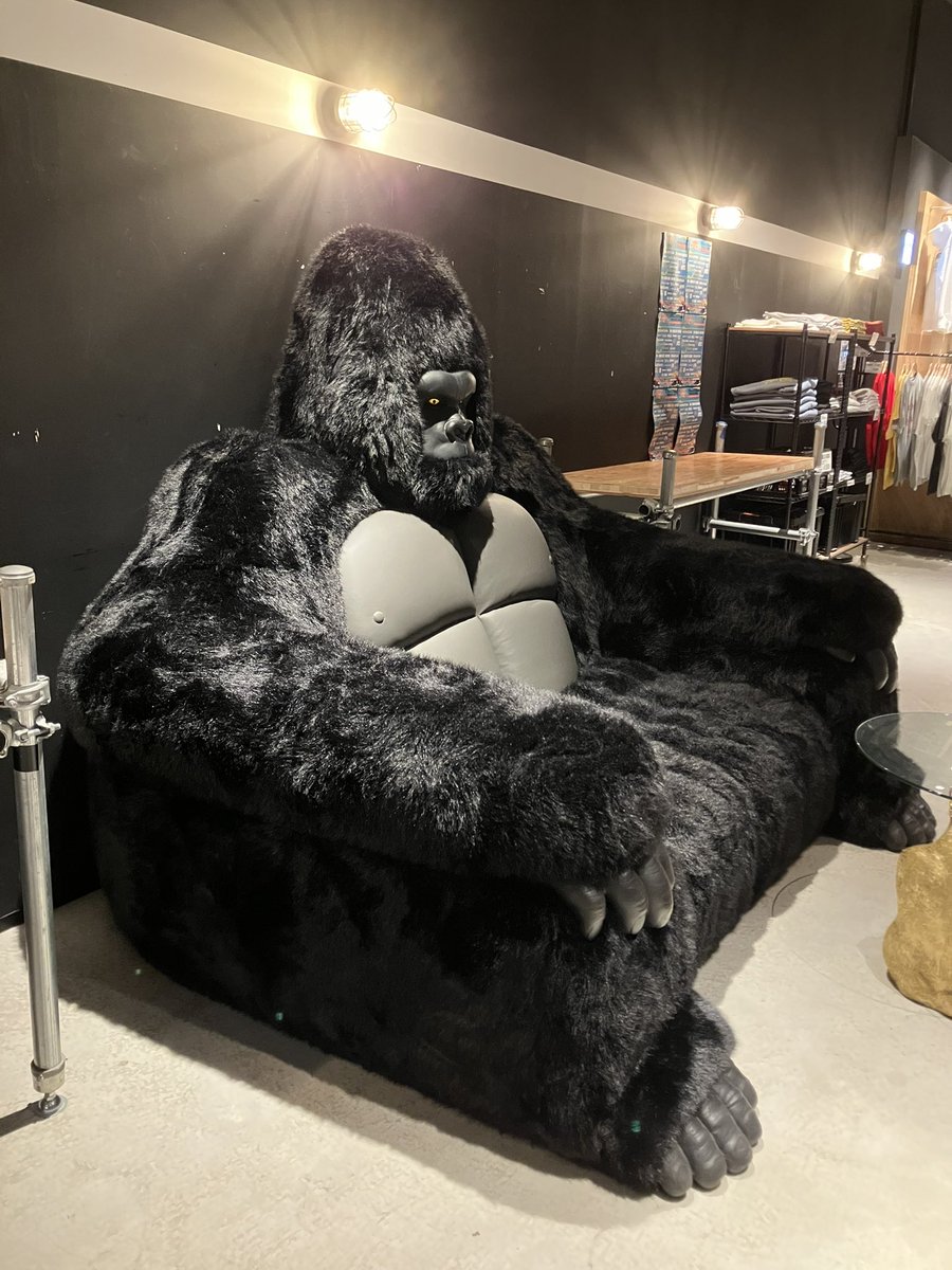 あちこちゴリラ🦍だらけでした ゴリラの惑星 ゴリラホール ステージは