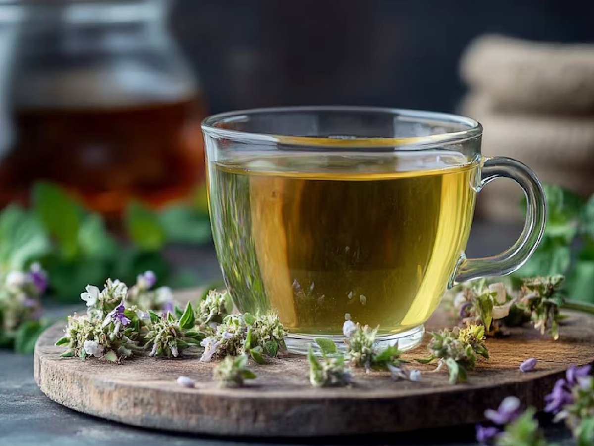 AgendaSalta's tweet image. #SALUD 
Todos los beneficios del té de #orégano y cuándo se recomienda tomarlo

Una infusión milenaria se consolida como aliada en la búsqueda del bienestar agendasalta.com.ar/noticias/food-…