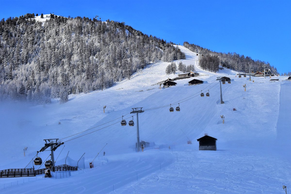 Ski Solutions tweet media