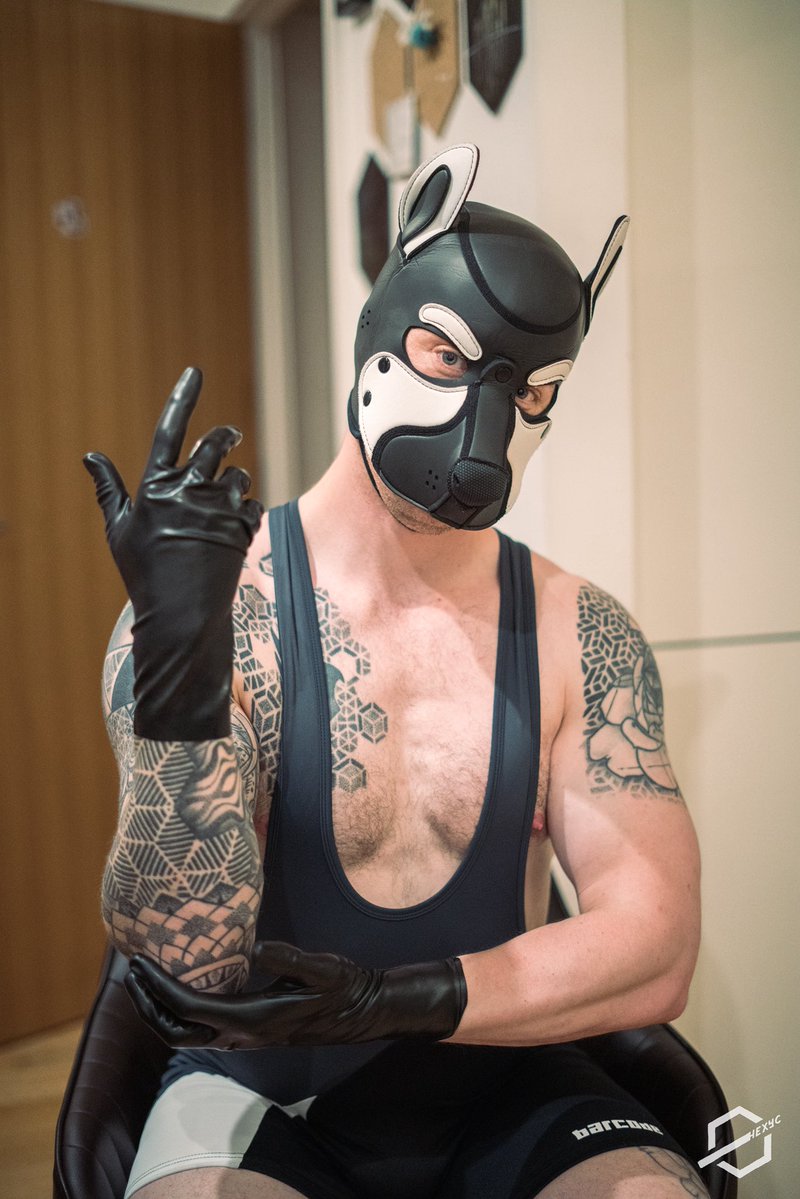 Huxley 🔜 Ainmhícon tweet media