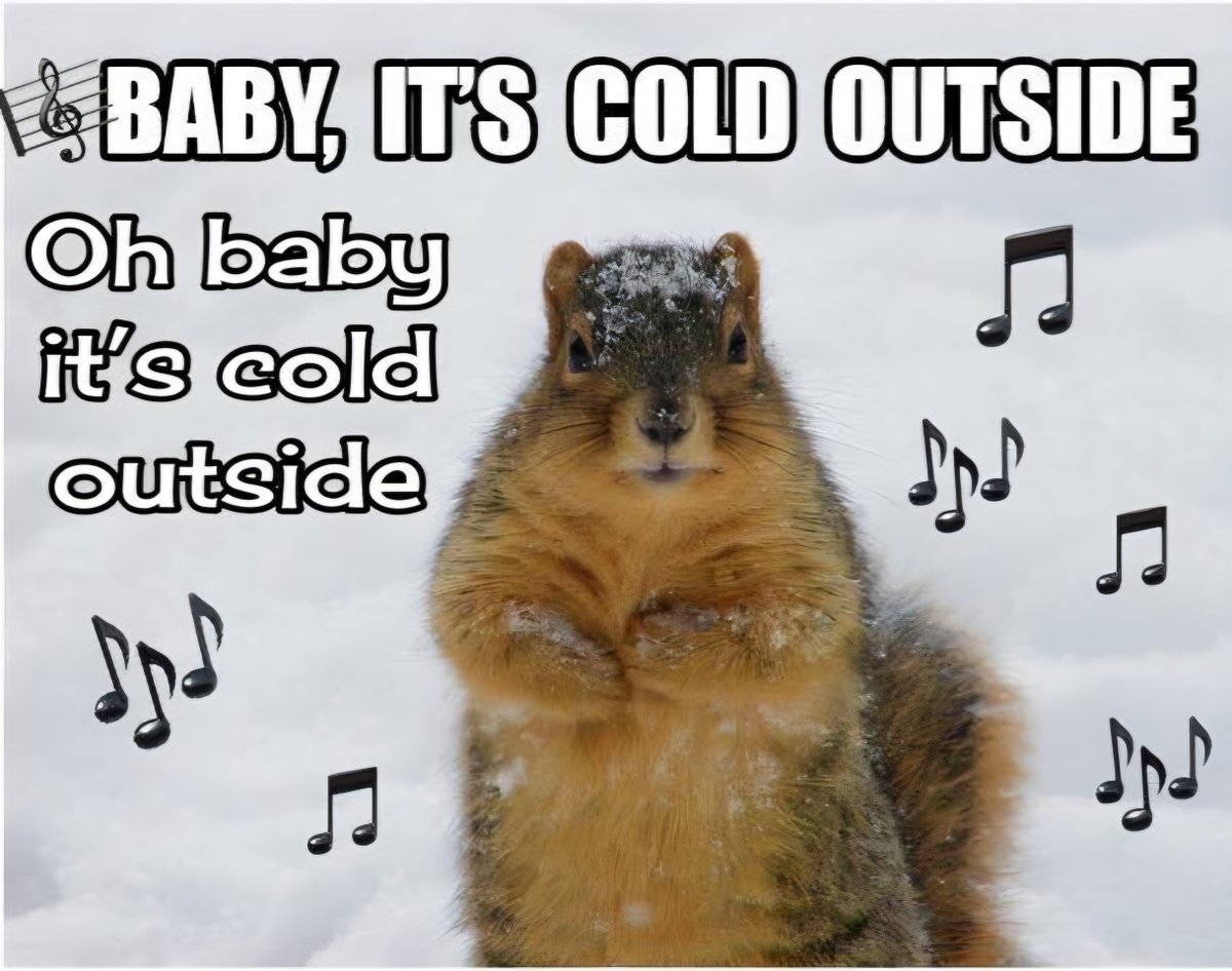 Is your Seasonal Affective Disorder kicking in? Then HR After Hours’ Baby It’s Cold Outside Mashup is just what the doctor ordered. 

❄️ hrafterhours.com ❄️
 
 #hrhumor #humanresources  #hrpodcast #thursdayvibes #thursdaymotivation #babyitscoldoutside