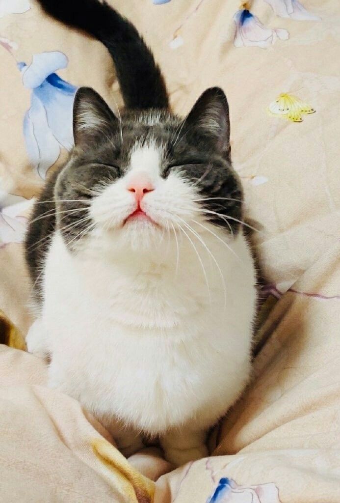 UngIng_1005's tweet image. ถูกต้องทุกอย่าง 🥹