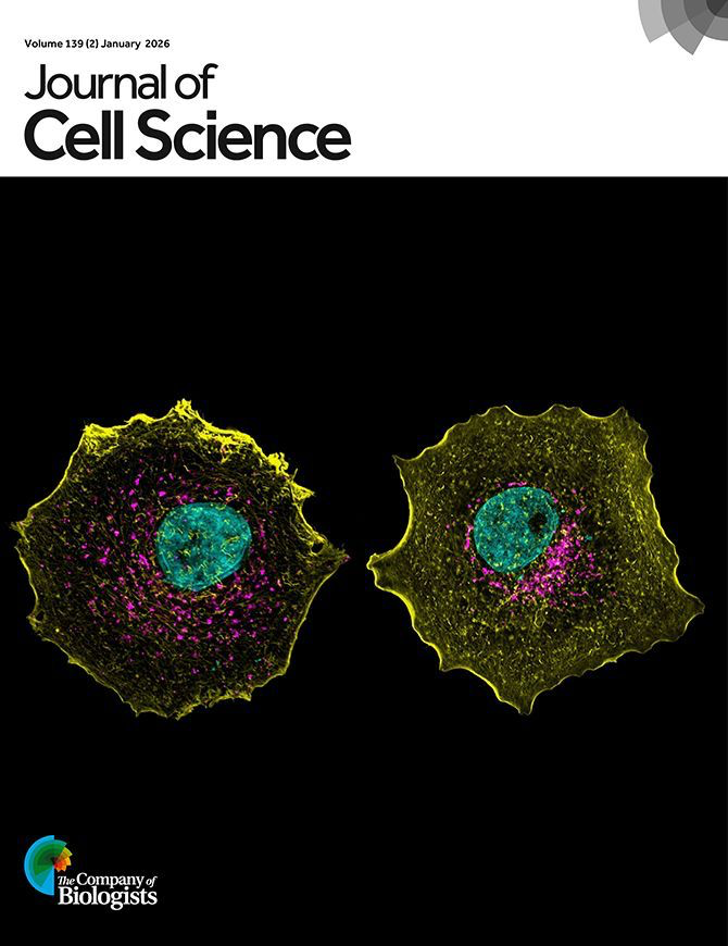 Nagaraj Balasubramanian tweet media