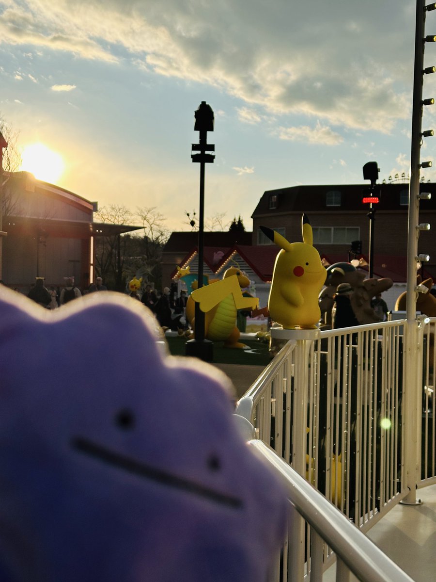 ぼくがいたよ💜 #メタモン #ポケパーク #ポケパークカントー