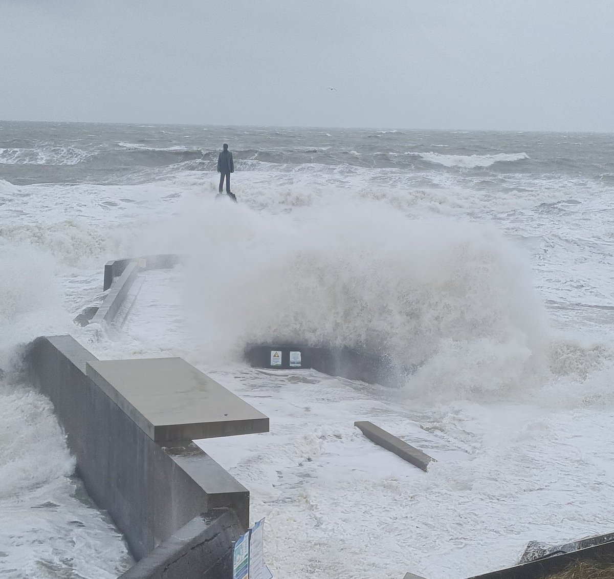 Patsy McGarry tweet media