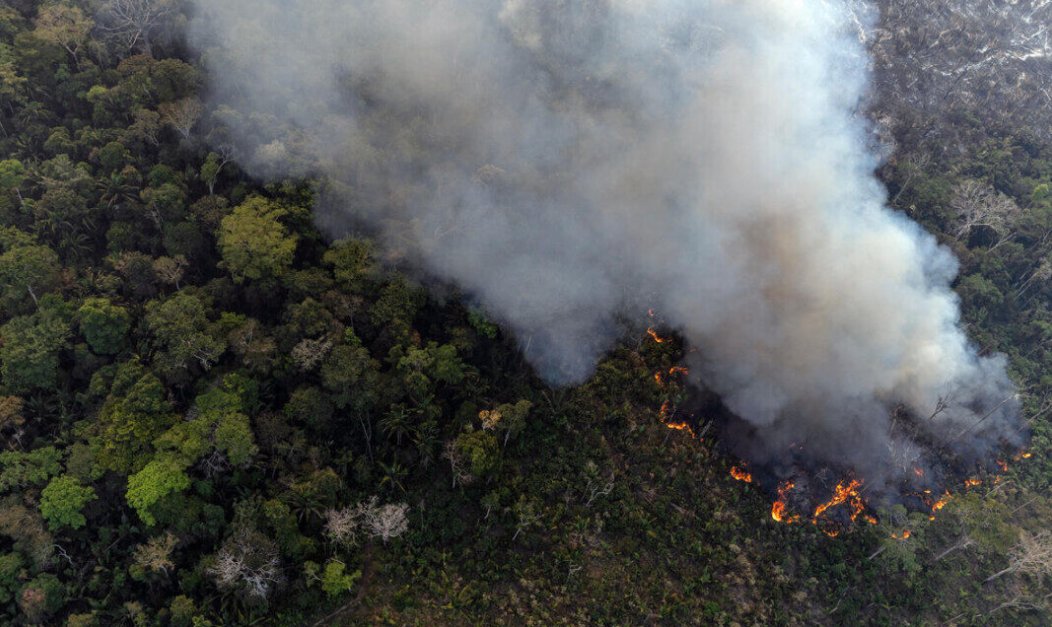 Instituto de Pesquisa Ambiental (IPAM) tweet media
