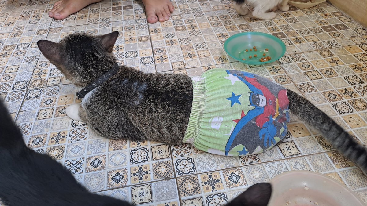 Putri Marfidina tweet media