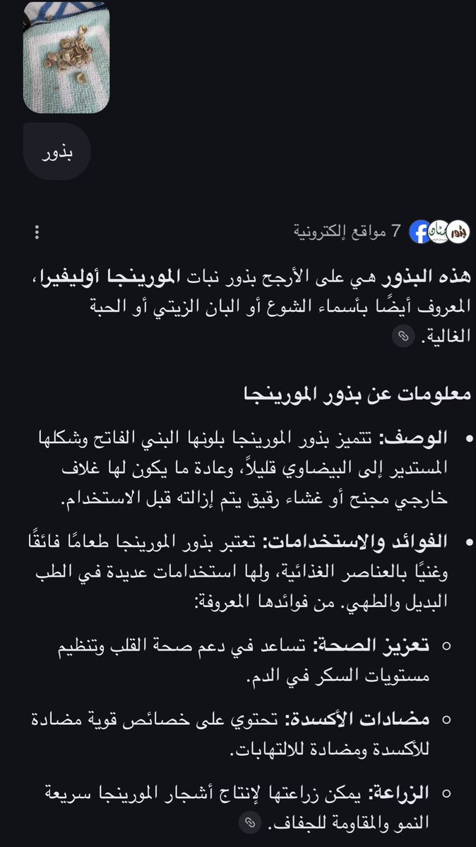 سارة الرشيدان tweet media