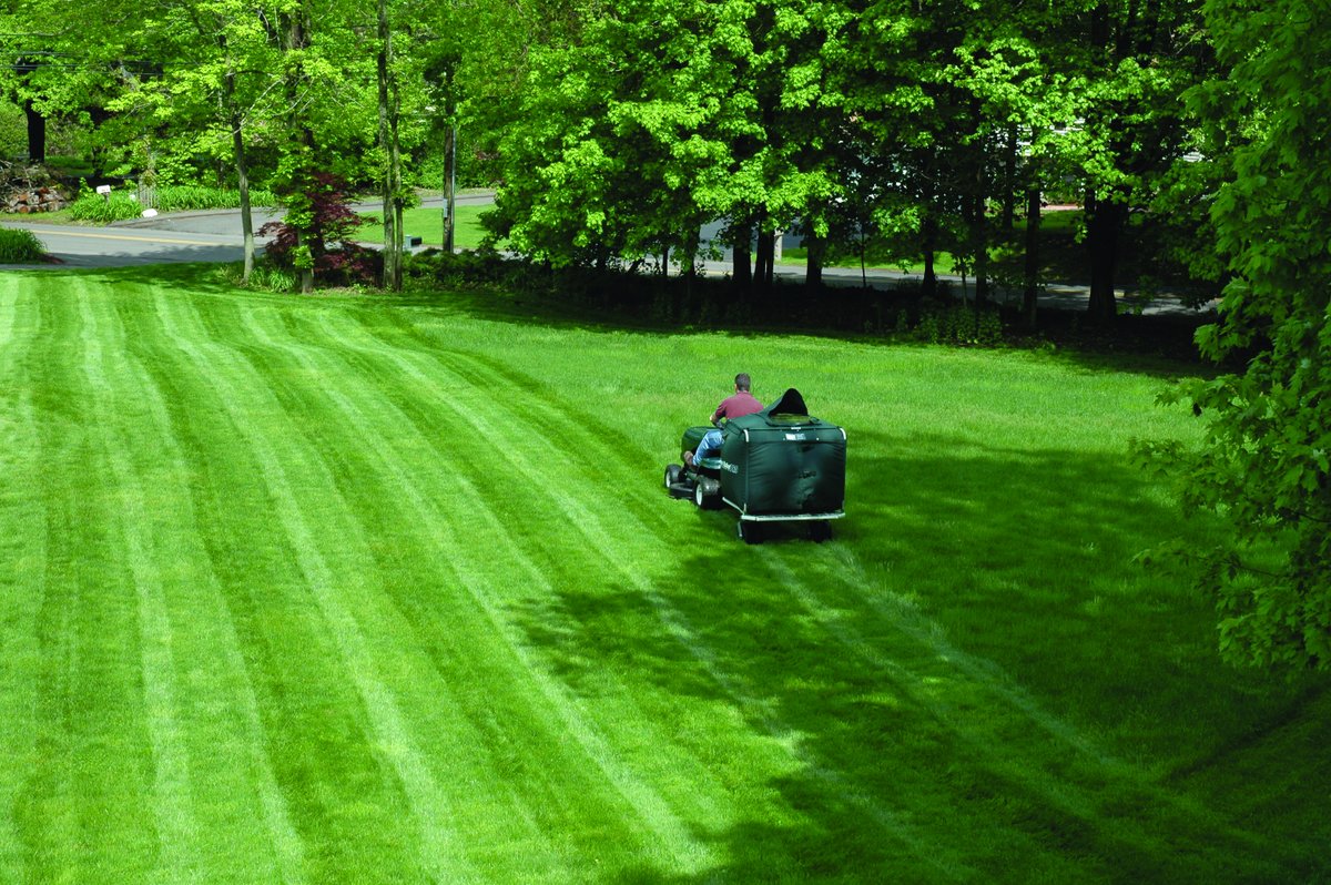 Cyclone Rake tweet media