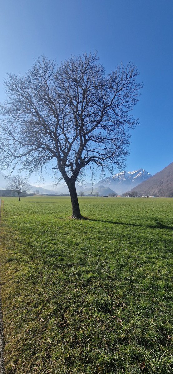 Hene Power tweet media