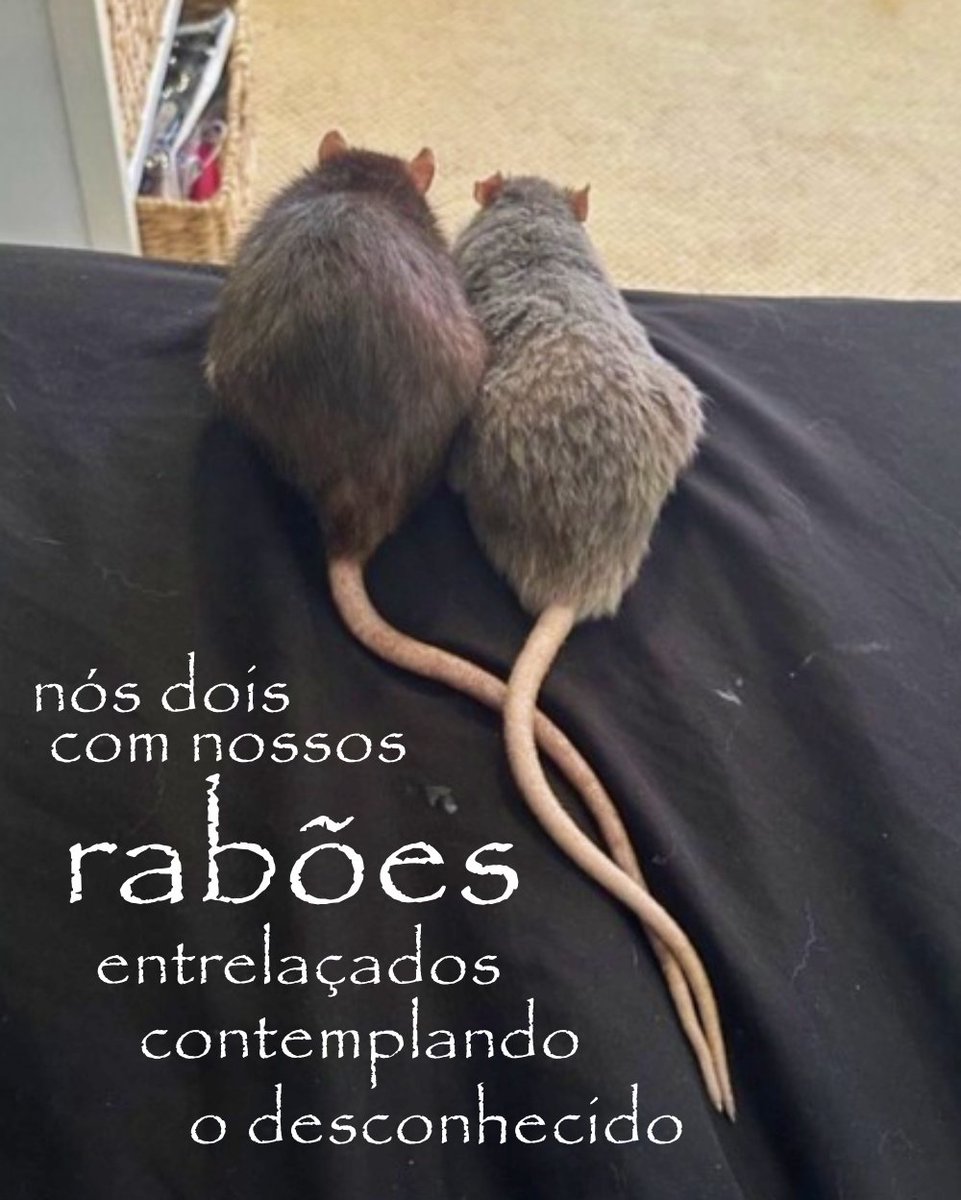 meltedvideos's tweet image. 