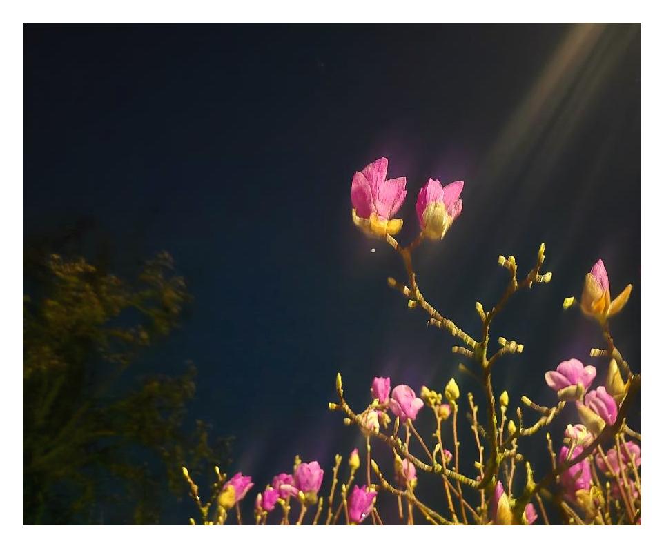 rough_n_ready tweet media