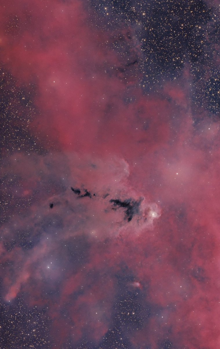 Andrew McCarthy tweet media