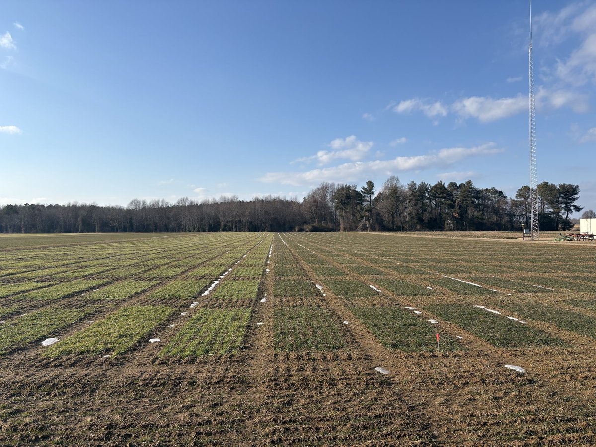 Eastern Virginia Ag Research & Extension Center tweet media