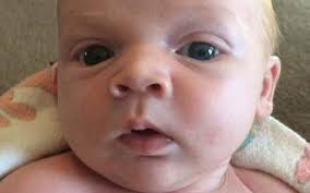 Yolo DA's Office tweet media