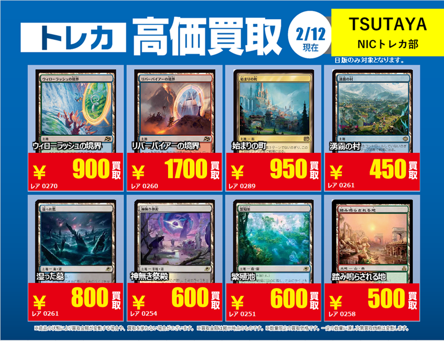 X限定強化買取】 🔥MTG 土地/特殊土地🔥 該当カードを事前に仕分けの上