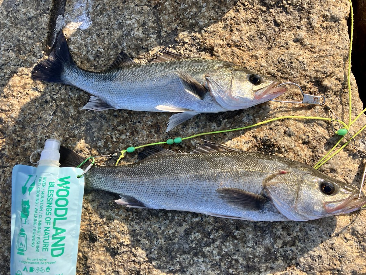 武庫川店より 武庫川店から車で約20分の西宮浜総合公園、跳ね橋付近の