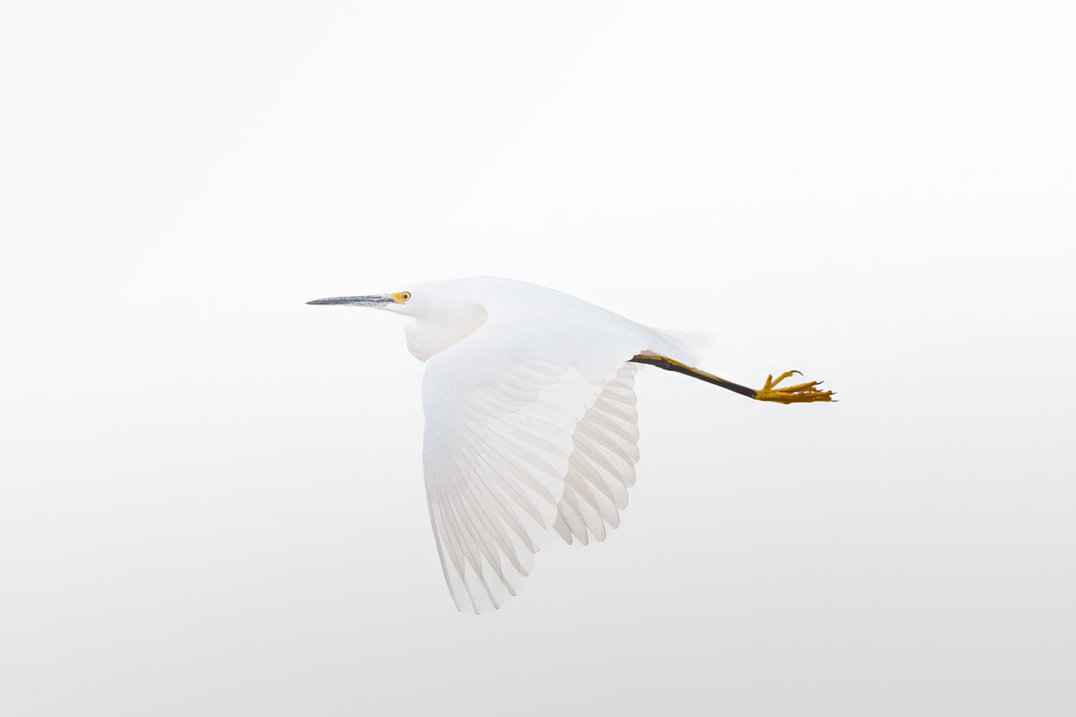 Paul Seibert tweet media