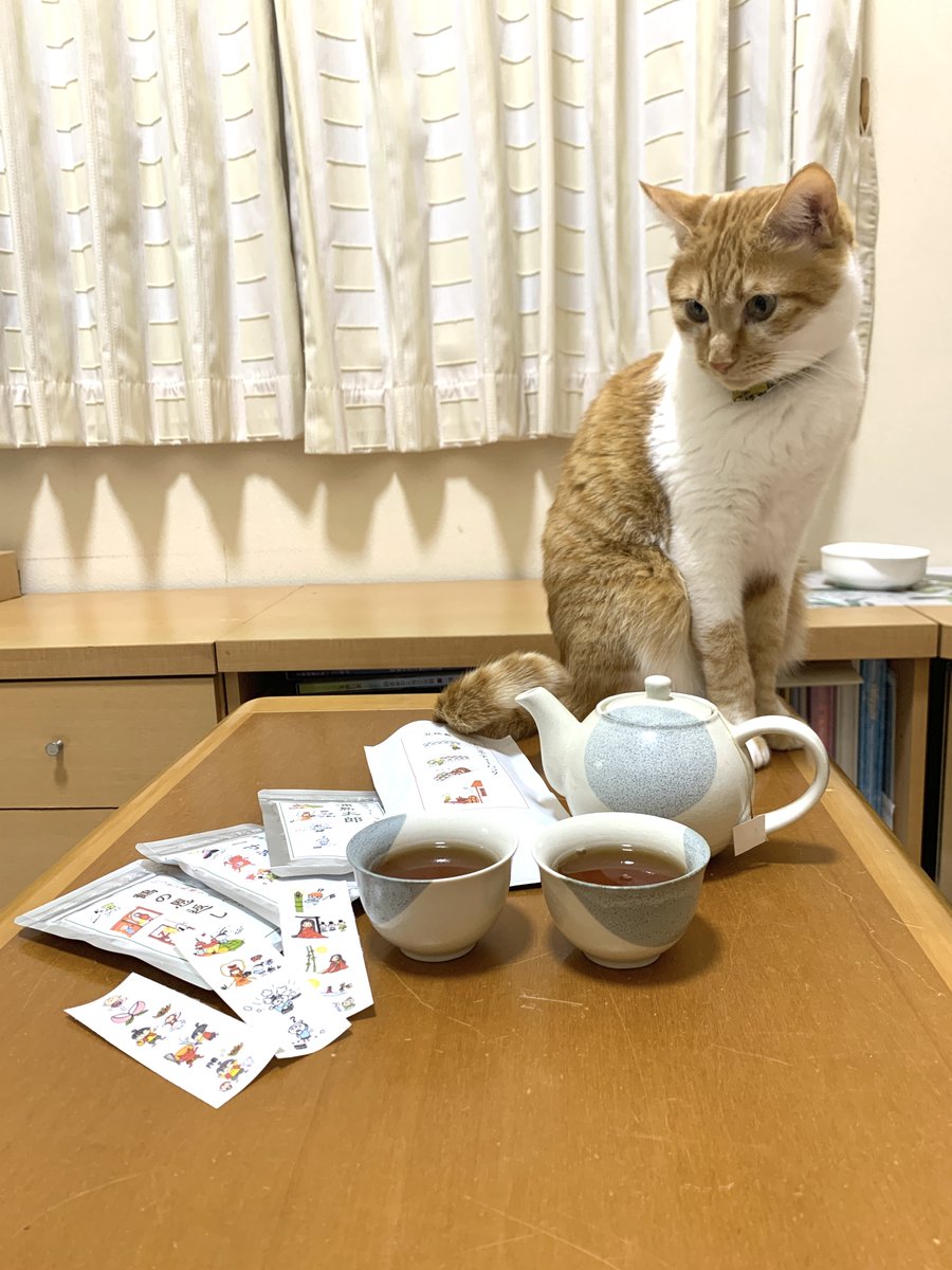 kimura_hamono's tweet photo. おハモノです✂️

#ギフトショー 番外編③
続いて四日目は趣味仲間、五日目は休日なので昼から学生時代の仲間と🍻
その二次会終了後、今度はお茶ちゃんと🍻
以前CPでいただいたお茶を再購入するという話から、最終的には茶楽会社長とひらどんと4人での飲み会に☺️
写真の通りめちゃ楽しかったです😉→ALT https://t.co/opLBI3X90F