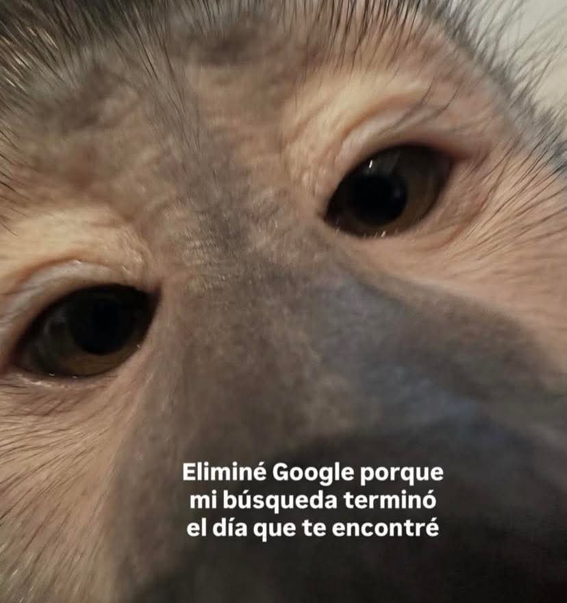 Así mérito mailov 🫶