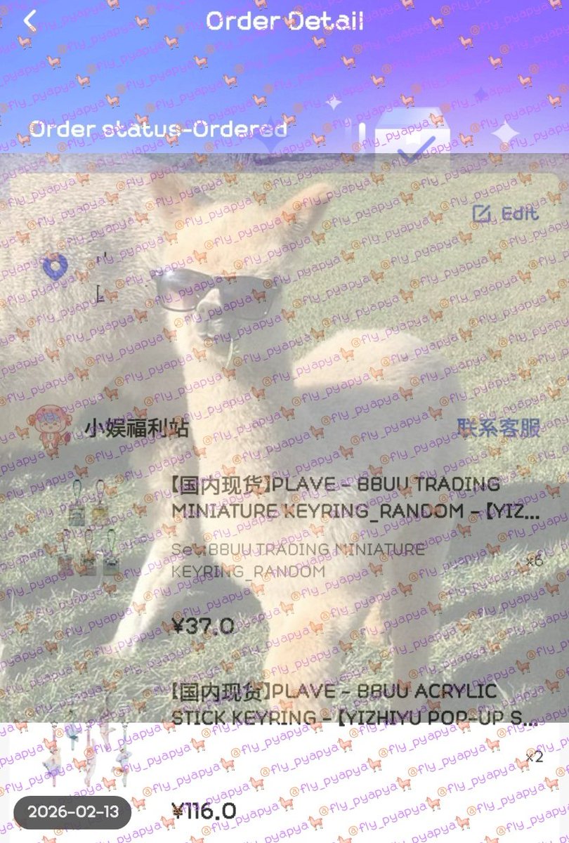 ㅈㄱ팝업 역수입 성공