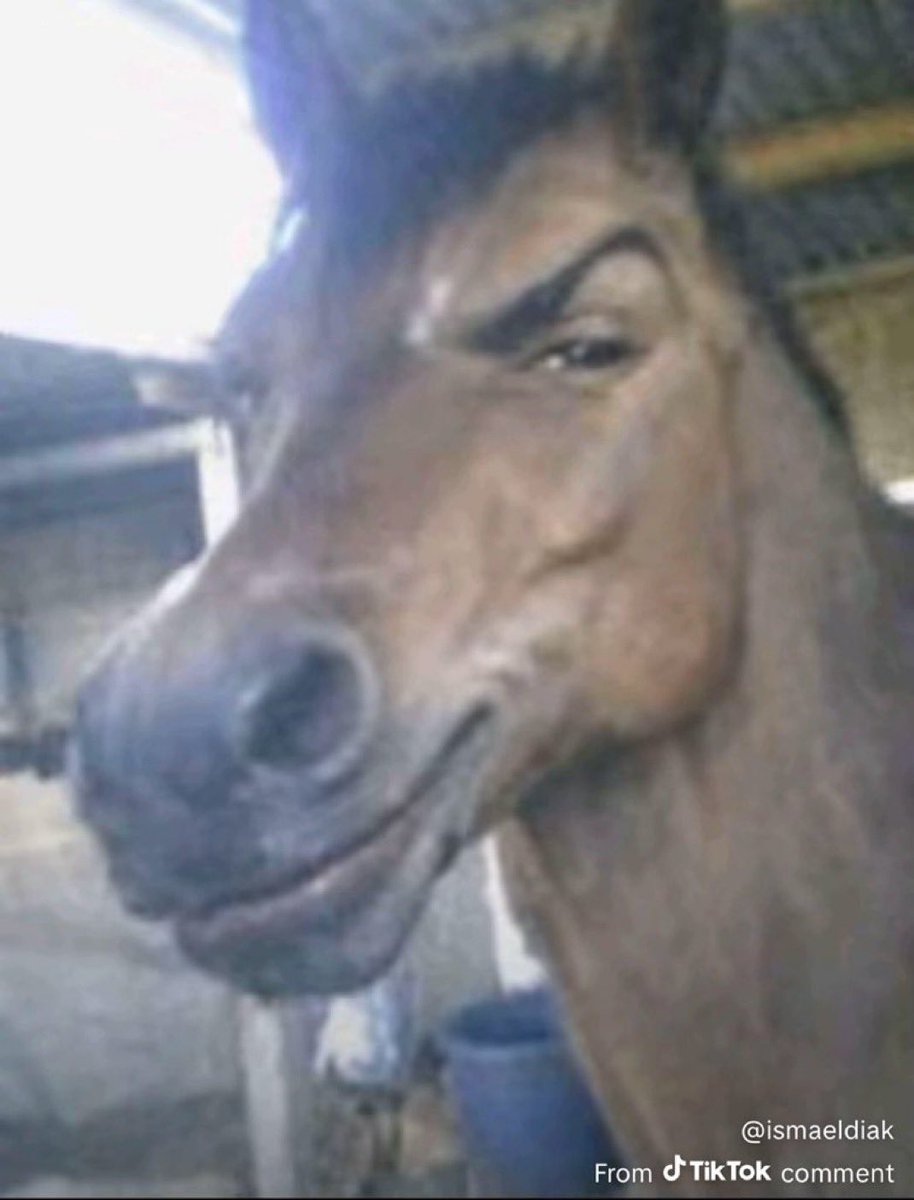 Steven Cruz tweet media