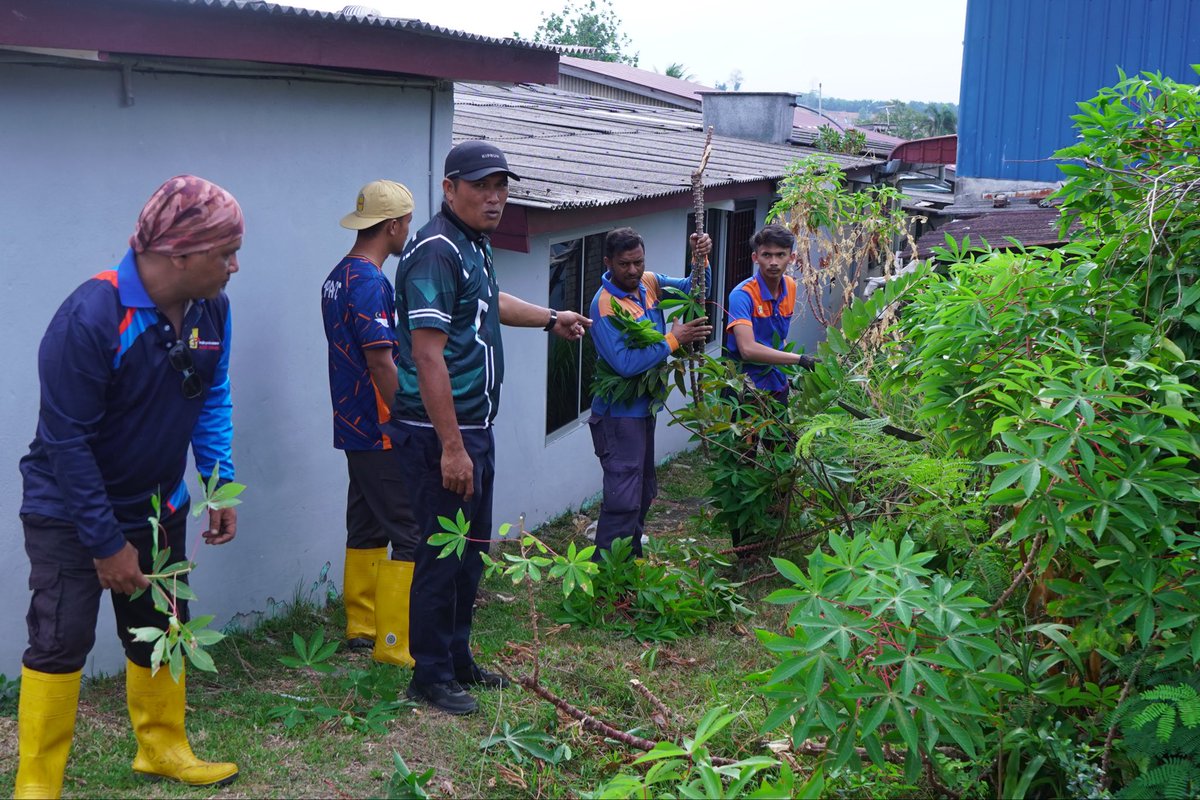 MPAG_OFFICIAL's tweet photo. 12 FEBRUARI 2026, KHAMIS :-
Operasi Pembersihan Lorong Belakang Rumah Awam Pulau Sebang 1 dengan kerjasama Jabatan Kebersihan, Jabatan Landskap, Jabatan Kesihatan Persekitaran, Jabatan Bangunan, Jabatan Penguatkuasaan MPAG serta SWCorp dan SWM Environment. https://t.co/GeRvXCDPKc