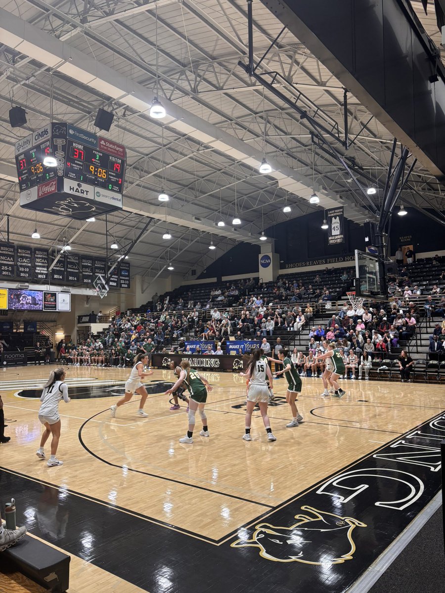 Dusan Radivojevic tweet media