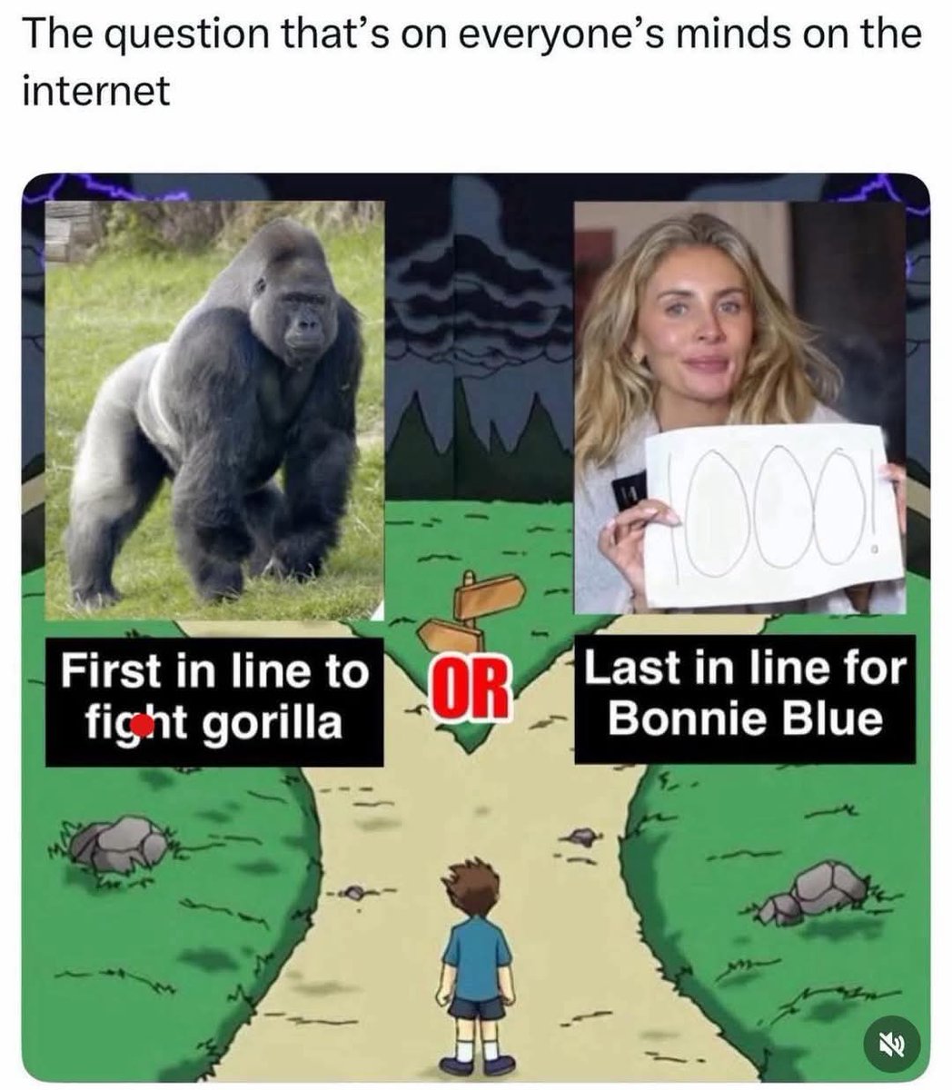 ShitpostGateway tweet media