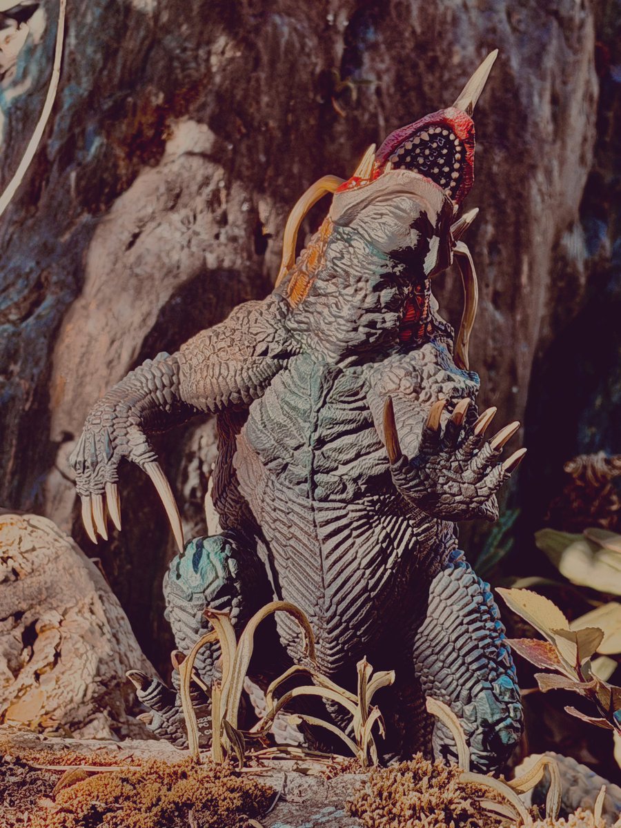 庭に連れ出したシン・ネロンガ。 無駄に並んでる歯牙、体表の皺。 裏面