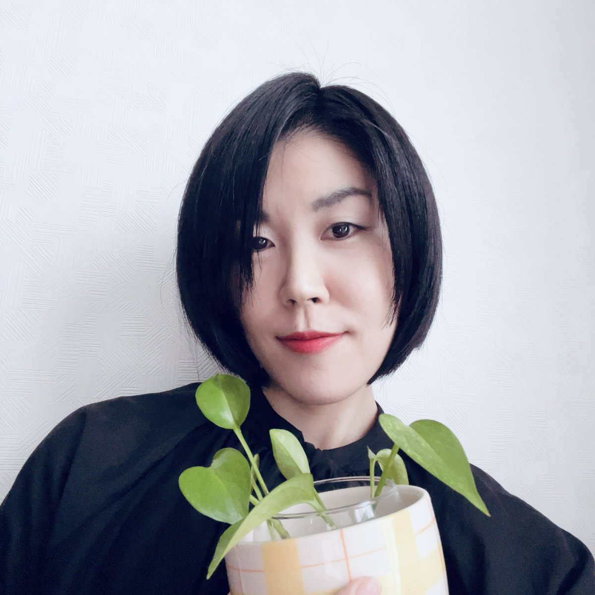 おはみもーにんぐ☀️
観葉植物とわたし🪴
この子のように、癒される瞬間を作りたいものですね。

金曜日、元気に過ごそう😊

#コロム
#朝のあいさつ
#mimogyworld