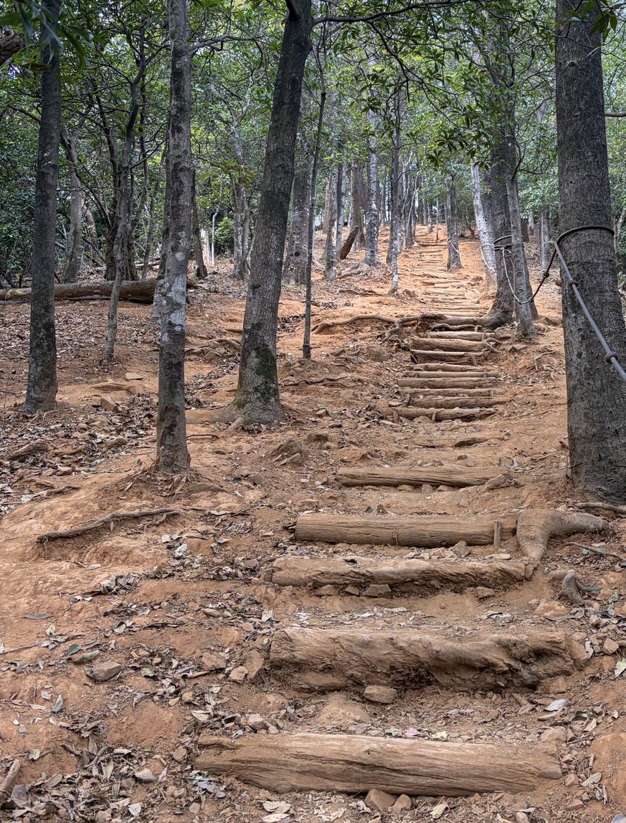 无事随观 tweet media