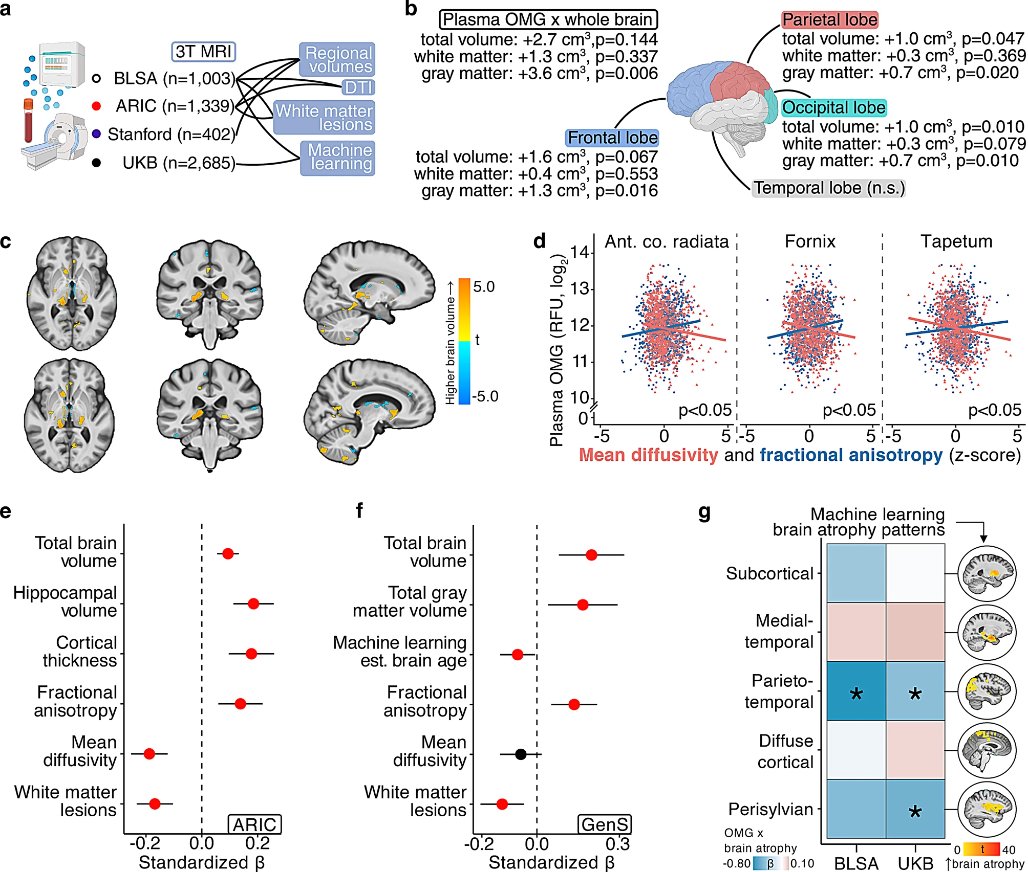 Agingdoc🩺Dr David Barzilai🔔MD PhD MS MBA DipABLM tweet media