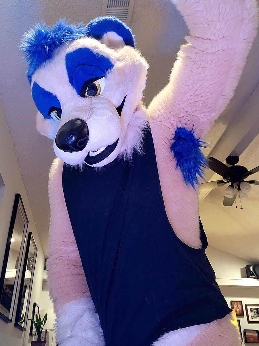 Sultan of Stink at FWA tweet media