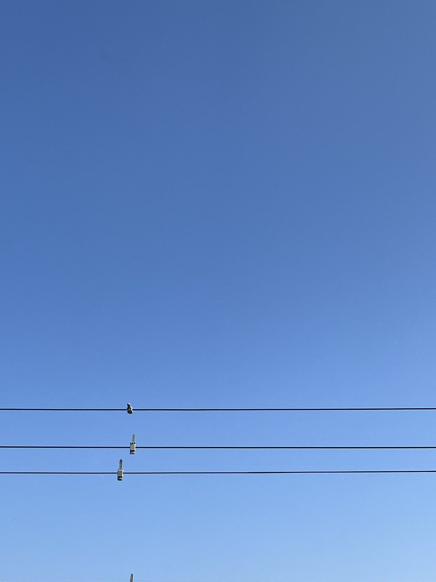 おはようございます☀
滋賀県南部の天気は晴れ☀️

週末なんですね！
三連休より水曜日が休みの方が得した気分になります🎌
みなさんはどちらがいい？

#企業公式が地元の天気を言い合う 
#企業公式相互フォロー 
#企業公式さんと繋がりたい