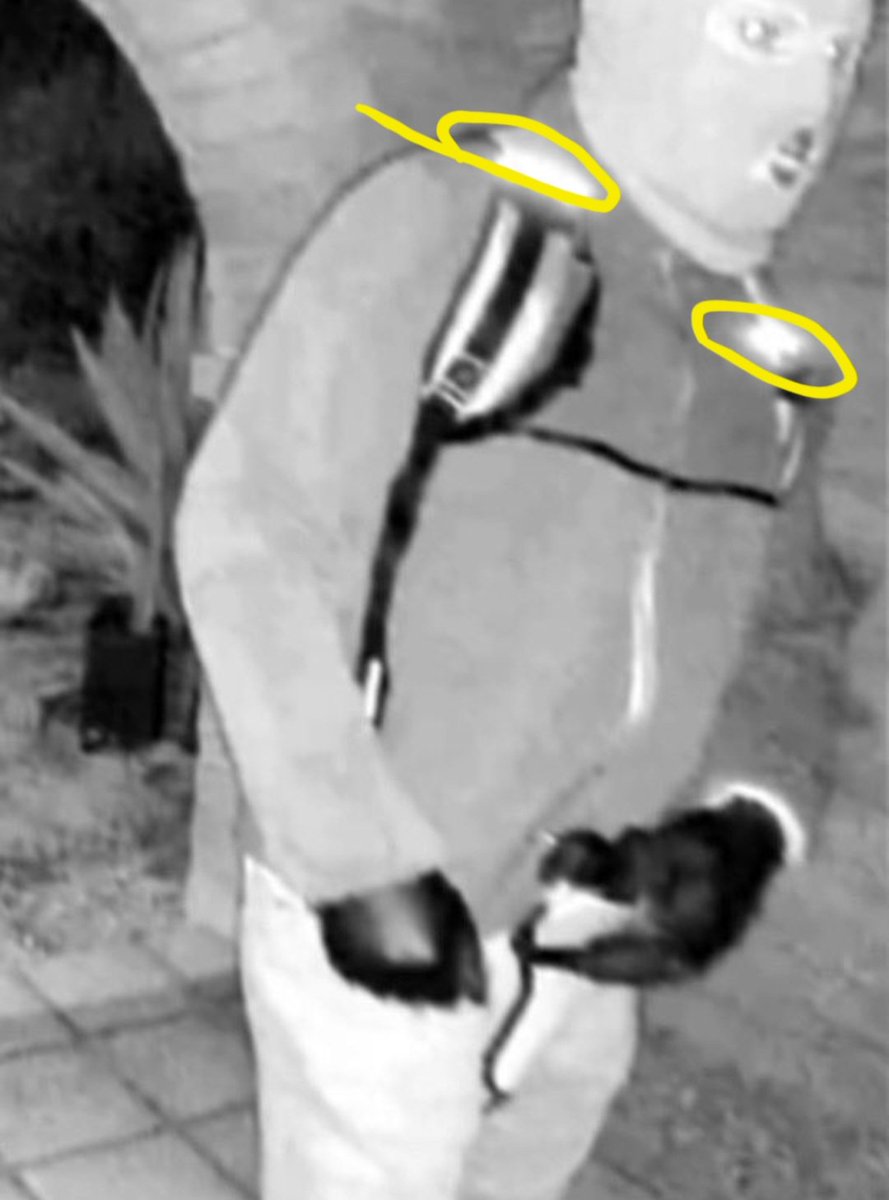 HSsurvivor's tweet image. The first photo is the back of the backpack. Straps circled in red are on his back behind his shoulders. The yellow indicates the straps you see near his underarms. If you've ever put on a backup you'll understand this.
