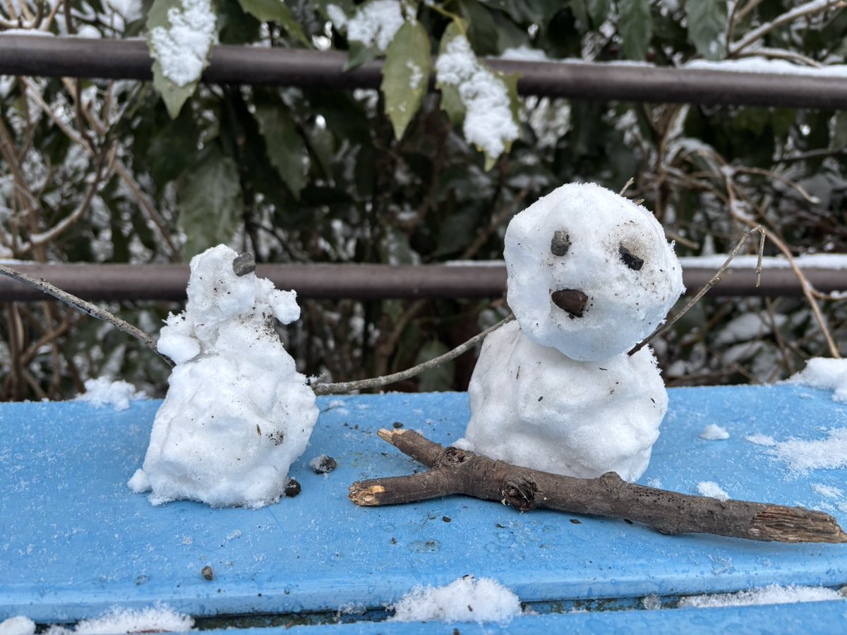 天気：曇り 気温：5.0℃ 富士山展望：✕ 【❄️高尾山雪だるま