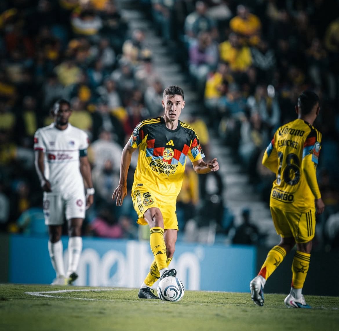 ℍ𝔸ℝ𝕋ℤ (ᑕ♥ᗩ) 💙🦅💛 tweet media