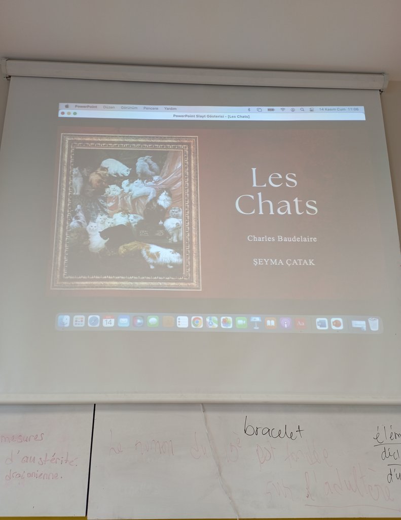 Baudelaire Bey ile tanışıp dünyasına girmeye çalıştım. Şiir dersinde sunum da yaptım. Recueil: Les Fleurs du Mal.