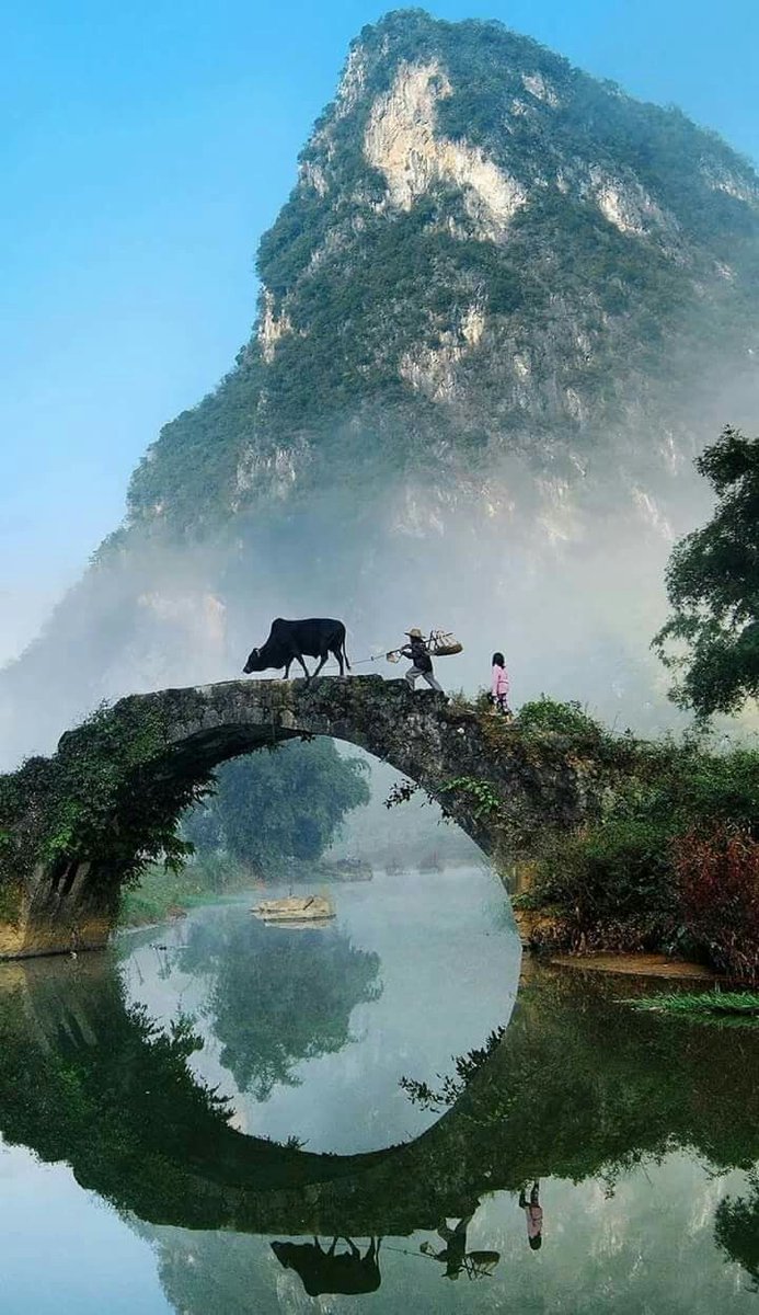 ᅠ ᅠ (@greendreaams) on Twitter photo 