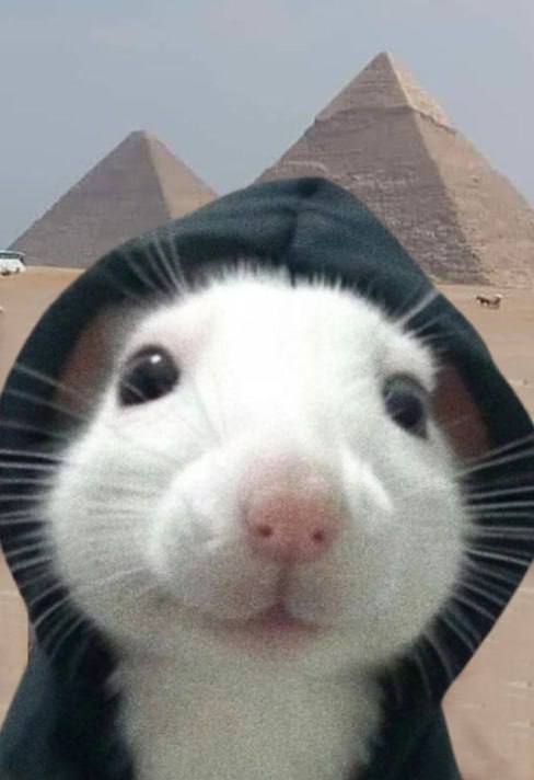 Mfs come to the Pyramids to see some gold. I’m here to steal that shit