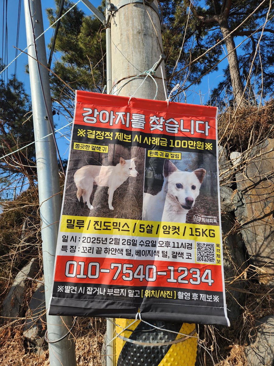 아직 찾고있어요.. 정말 어딨는거니