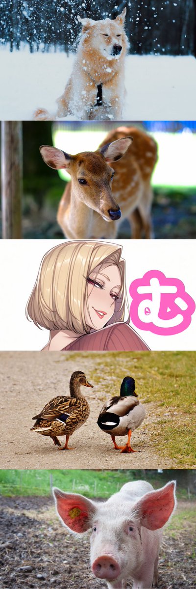 riaphartime1977's tweet image. (1/8)　SFW