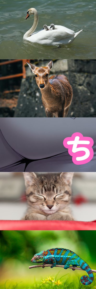 riaphartime1977's tweet image. (1/8)　SFW